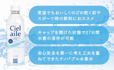  ナノバブル水素水 ペットボトル 約500ml 24本 株式会社ヒロシバ《30日以内に出荷予定(土日祝除く)》大阪府 羽曳野市 送料無料 水素水 肌 美容 健康 水