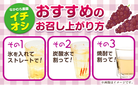 デラウェア ジュース 720ml 6本 有限会社なかむら農園《60日以内に出荷予定(土日祝除く)》大阪府 羽曳野市 ジュース 飲料品 ドリンク ぶどう ブドウ 葡萄 送料無料  羽曳野市産デラウェア 大阪府産デラウェアジュース デラウェアジュース