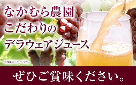デラウェア ジュース 720ml 6本 有限会社なかむら農園《60日以内に出荷予定(土日祝除く)》大阪府 羽曳野市 ジュース 飲料品 ドリンク ぶどう ブドウ 葡萄 送料無料  羽曳野市産デラウェア 大阪府産デラウェアジュース デラウェアジュース