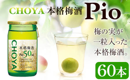 本格梅酒 Pio 飲みきりサイズ：50ml 60本 羽曳野商工振興株式会社《30日以内に出荷予定(土日祝除く)》