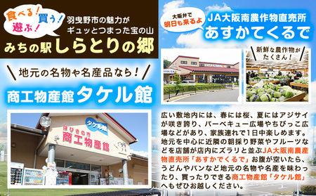 本格梅酒 Pio 飲みきりサイズ：50ml 60本 羽曳野商工振興株式会社《30日以内に出荷予定(土日祝除く)》