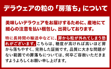 デラウェア ぶどう 約1.5kg《7月上旬-8月中旬頃出荷》