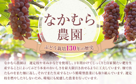 デラウェア ぶどう 約1kg(4パック) 