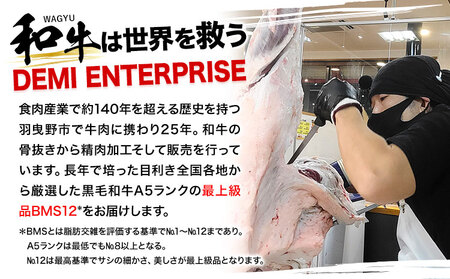 和牛 さいぼし レアジャーキー 約600g 株式会社Demi Enterprise《30日以内に出荷予定(土日祝除く)》大阪府 羽曳野市 送料無料 牛肉 牛 和牛 ジャーキー ビーフジャーキー おつまみ 黒毛和牛ジャーキー 黒毛和牛さいぼし 黒毛和牛jerky 黒毛和牛燻製 黒毛和牛A5ランク 黒毛和牛A5等級 和牛おつまみ レアジャーキー お酒のアテ 南河内ローカルフード 羽曳野ローカルフード 大阪ソウルフード 羽曳野ソウルフード 燻製ジャーキー 和牛ジャーキー A5ランク黒毛和牛さいぼし