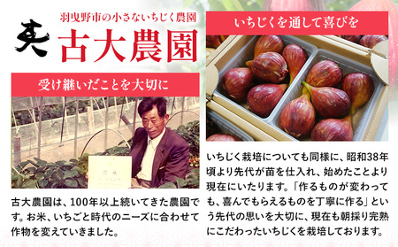 お試し 朝採りいちじくを使ったドライいちじく 約60g 古大農園《30日以内に出荷予定(土日祝除く)》大阪府 羽曳野市 いちじく 無花果 フルーツ 果物 ドライフルーツ 添加物不使用