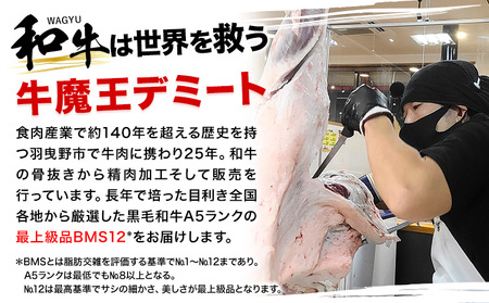和牛 さいぼし レアジャーキー 約1.2kg(30日以内に出荷予定)