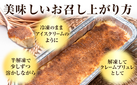 低糖質 贅沢 カタラーナ 2本 大きい BIGサイズ ヘルシースイーツ工房マルベリー《30日以内に出荷予定(土日祝除く)》大阪府 羽曳野市 スイーツ デザート アイスクリーム アイス