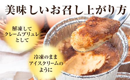 低糖質 濃厚 クレームブリュレ 5種 バラエティセット 5個 ヘルシースイーツ工房マルベリー《30日以内に出荷予定(土日祝除く)》大阪府 羽曳野市 スイーツ デザート クレームブリュレ アイスクリーム アイス ラズベリー 抹茶 ショコラ コーヒー 低糖質スイーツ 低糖質ダイエット 低糖質デザート 糖尿病ダイエット 糖質制限スイーツ 糖質制限デザート