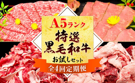 【4ヶ月定期便】A5黒毛和牛 お試し 定期便 合計 3.4kg 牛魔王デミート《お申込み月の翌月から出荷開始》|肉定期便肉定期便肉定期便肉定期便肉定期便