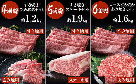 【6か月定期便】国産 黒毛和牛 食べ比べ 定期便 (大)《お申込み月の翌月から出荷開始》大阪府 羽曳野市 牛肉 肉 あみ焼 ロースステーキ ステーキ すき焼 あみ焼き ロースすき焼 セット【配送不可地域あり】