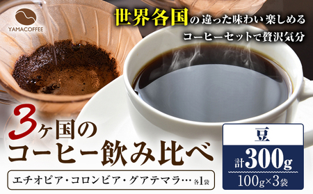 コーヒー豆 3ヶ国 飲み比べ 豆 計300g YAMACOFFEE《30日以内に出荷予定(土日祝除く)》大阪府 羽曳野市 コーヒー 豆 自家焙煎 9,000円