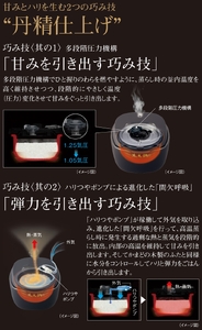 【訳あり】タイガー魔法瓶 土鍋圧力IH炊飯器 JPL-S100KT ブラック 5.5合炊き