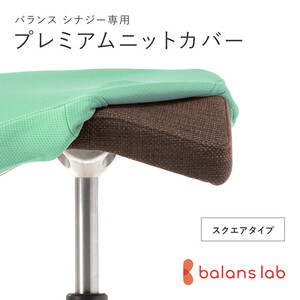バランスシナジー専用プレミアムニットカバー（ライトグリーン）スクエアシート用 はっ水加工【 チェアカバー 椅子カバー チェアカバー 椅子カバー チェアカバー 椅子カバー チェアカバー 椅子カバー 】
