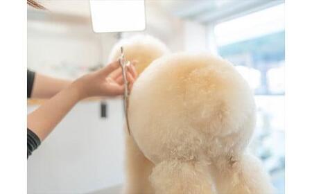 UONLY　ペットサロンチケット　1,000円×3枚【 ペット サロン ペット サロン ペット サロン ペット サロン ペット サロン ペット 】