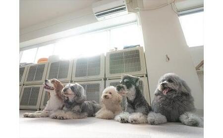 UONLY　ペットサロンチケット　1,000円×3枚【 ペット サロン ペット サロン ペット サロン ペット サロン ペット サロン ペット 】