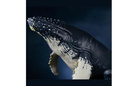 NatureTales ザトウクジラ親子【 フィギュア アニマルフィギュアコレクション 大阪府 門真市 】