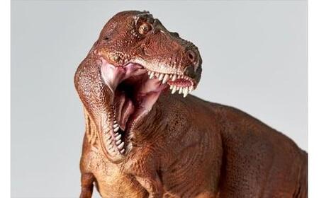 NatureTales 恐竜王【 フィギュア 恐竜 フィギュアコレクション 大阪府 門真市 】