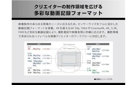 パナソニック フルサイズミラーレス一眼カメラ ルミックス DC-S5M2K カメラ