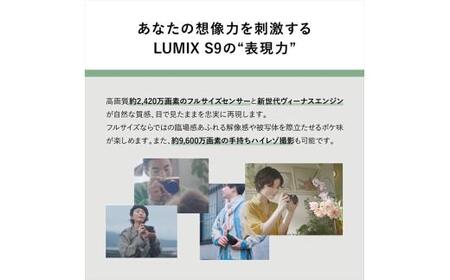 パナソニック フルサイズミラーレス一眼カメラ ルミックス DC-S9N-D カメラ