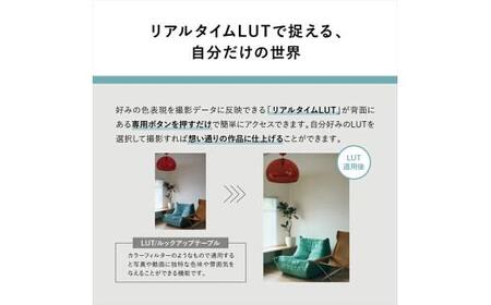 パナソニック フルサイズミラーレス一眼カメラ ルミックス DC-S9N-D カメラ