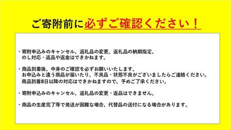 パナソニック フルサイズミラーレス一眼カメラ ルミックス DC-S9N-D カメラ