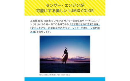 パナソニック デジタル一眼カメラ ルミックス　DC-G100DK