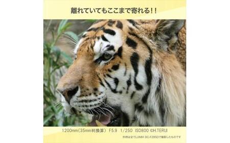 パナソニック コンパクトデジタルカメラ ルミックス　DC-FZ85D