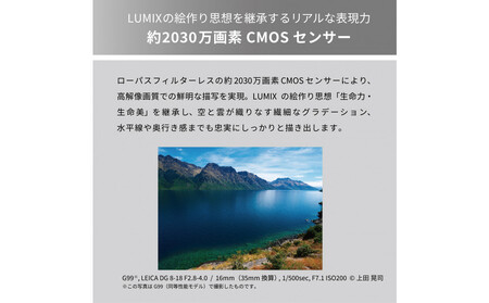 パナソニック デジタルカメラ ルミックス DC-G99M2H