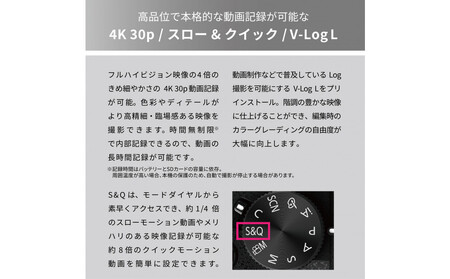 パナソニック デジタルカメラ ルミックス DC-G99M2H