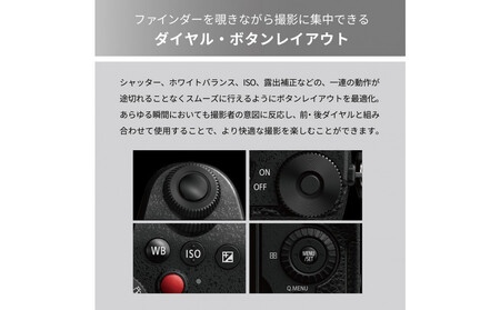 パナソニック デジタルカメラ ルミックス DC-G99M2H