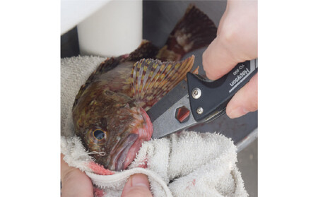 津本式計測マルチ絞め具