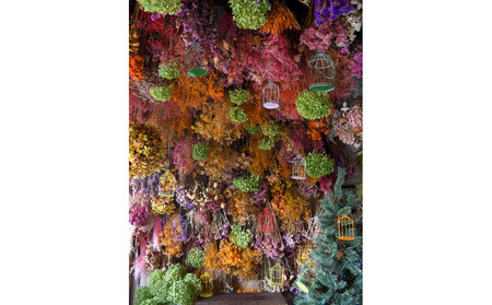 花の異空間　レンタルスペース（2名様・2時間）〈月～土　am9:00～pm5:00〉