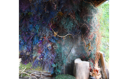 花の異空間　レンタルスペース（2名様・2時間）〈月～土　am9:00～pm5:00〉