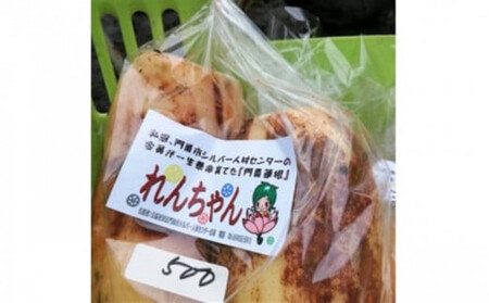 門真れんこん 2.0kg れんこん