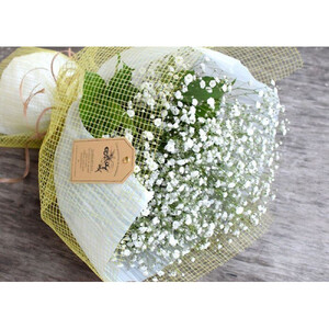 かすみそうの花束 かすみ草 カスミソウ 花束(小さいサイズ) 花 誕生日 成人式 卒業祝い 初節句 ひな祭り バレンタイン お返し 結婚 ウエディング 送別 祝い プレゼント ギフト 結婚祝い お礼 花束 生花 ドライフラワーにも 送料無料 退職祝い お母さん 記念日