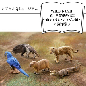 カプセルQミュージアム WILD RUSH 真・世界動物誌Ⅱ～南アメリカ・アマゾン編～＜海洋堂＞