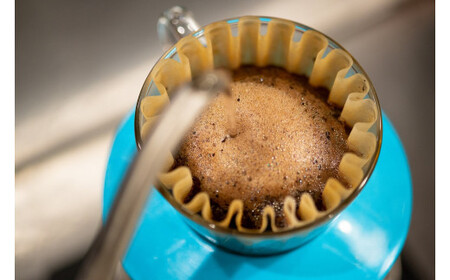 【コーヒー豆定期便】珈琲豆 200g×2銘柄 6ヶ月（中挽き）【 コーヒー豆 大阪府 門真市 】