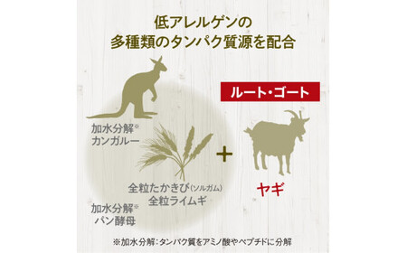 ドライドッグフード　ルート・ゴート 小粒 4.4kg【 ドッグフード ドッグフード ドッグフード ドッグフード ドッグフード ドッグフード 】