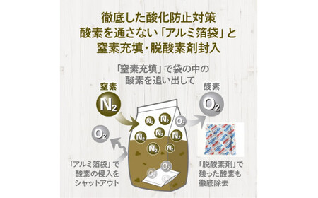 ドライドッグフード　ルート・ポーク 小粒 1.5kg【 ドッグフード ドッグフード ドッグフード ドッグフード ドッグフード ドッグフード 】