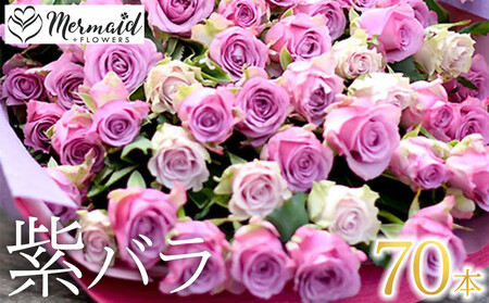 紫バラ70本【 花 薔薇 花束 バラ フラワーアレンジメント フラワー 花 フラワーギフト 花束 】