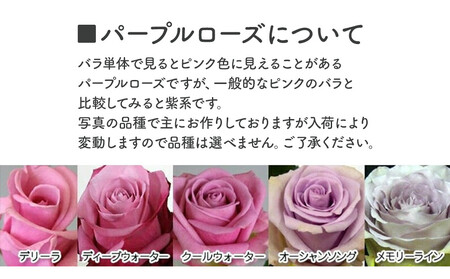 紫バラ70本【 花 薔薇 花束 バラ フラワーアレンジメント フラワー 花 フラワーギフト 花束 】