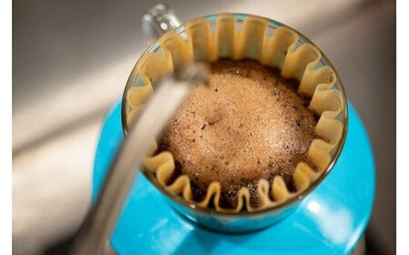 【コーヒー豆定期便】珈琲豆 200g×2銘柄 12ヶ月（中挽き）【 コーヒー豆 大阪府 門真市 】