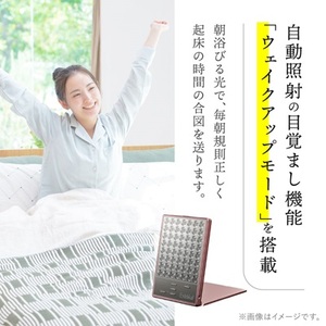 LED美顔器 Exideal (エクスイディアル) シャンパンピンク【1317852】