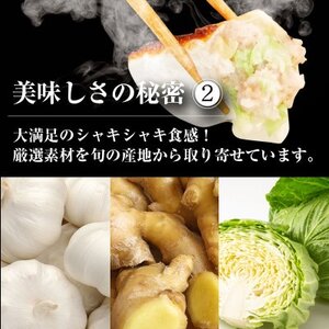 【96個入】やみつき焼き餃子 簡単便利日々のおかず、餃子パーティーギフトにおすすめ【配送不可地域：離島】【1334716】