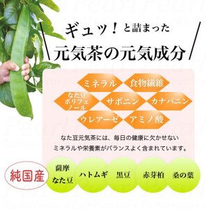 【3袋】健康茶「薩摩なた豆元気茶」ホット・アイス両用　自家用・ギフトにオススメです_飲料・ドリンク 茶葉・ティーバッグ 茶 _【1490876】