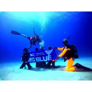 BIG BLUE　スキューバダイビング　PADI(Cカードライセンス) 免許取得補助券10,000円_旅行券・チケット ダイビング 体験チケット _【1491812】