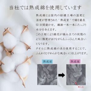 泉州タオル「ガーゼのフェイスタオル」6枚セット 010B018_雑貨・日用品 泉州タオル タオル _【1492768】