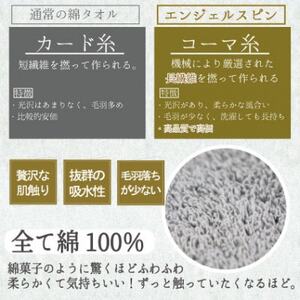 レイユールフェイスタオル2枚組(ウォームピーチ)【1666418】