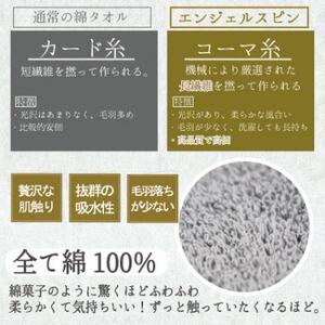 レイユールハンドタオル3枚組(スカイブルー)【1666433】