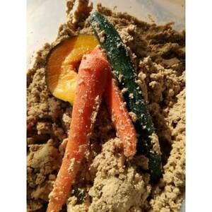 発酵【熟成】ぬか床　『その日から美味しくぬか漬けができる、かんたんぬか漬けマニュアル付き』【配送不可地域：離島】【1677869】